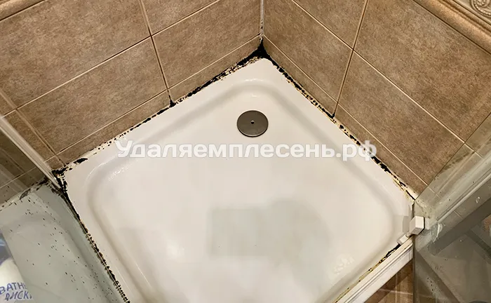 Замена герметика на душевом поддоне / подиуме