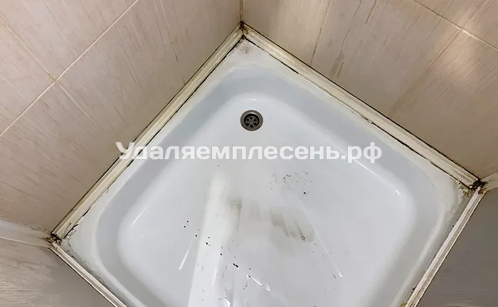 Замена герметика и установка пвх плинтуса на душевой поддон / подиум