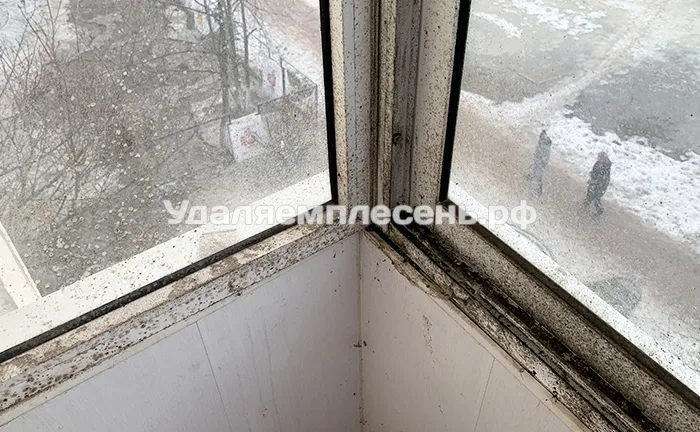 Удаление плесени на окнах балкона / лоджии