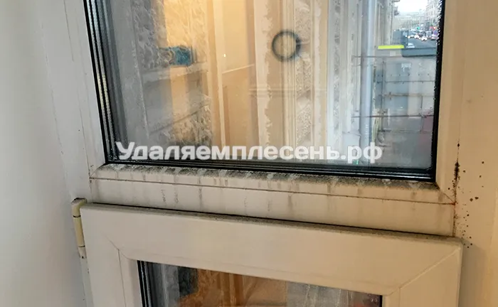 Удаление плесени на окнах