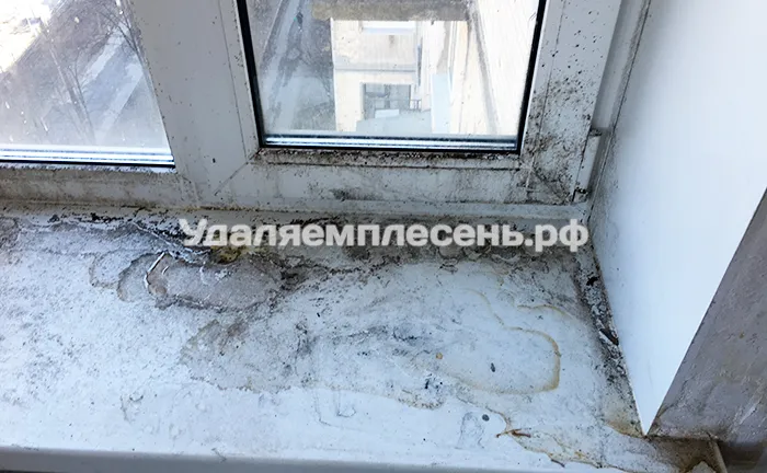 Удаление плесени на подоконнике