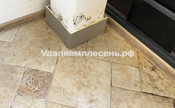 Удаление плесени на полу балкона / лоджии