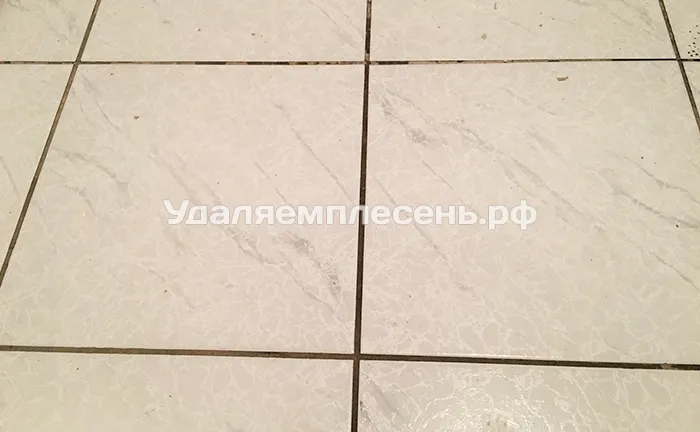 Удаление плесени на полу в ванной
