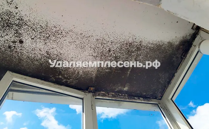 Удаление плесени на потолке балкона / лоджии