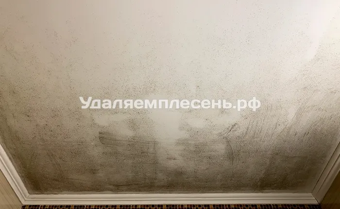 Удаление плесени на потолке в ванной