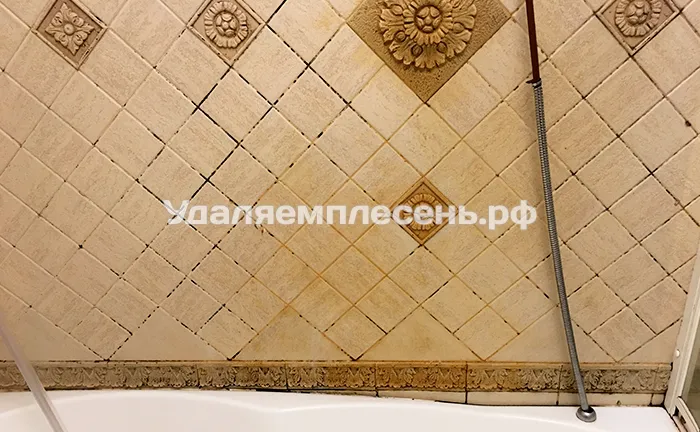 Удаление плесени на стенах и швах в ванной