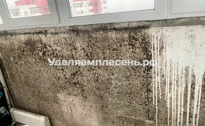 Удаление плесени на стенах балкона / лоджии
