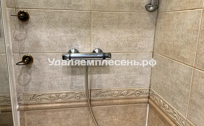 Удаление плесени на стенах, поддоне и стеклах в душевой