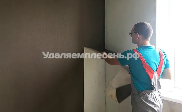 Эдуард снимает пораженные плесенью обои
